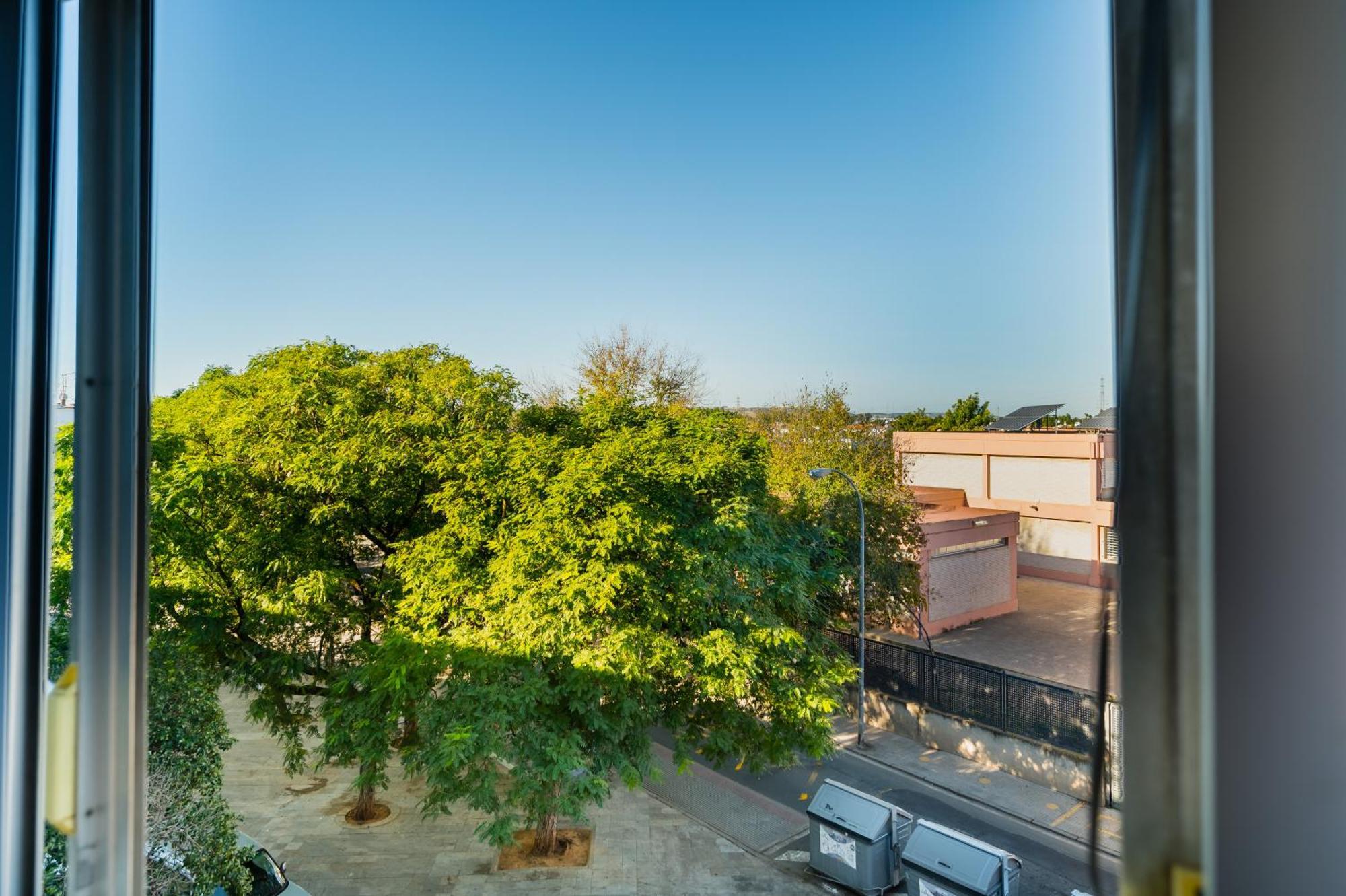 Apartamento Luminoso Sevilla Eksteriør billede